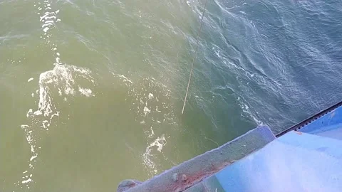 Van Veen Grab Video stock 220788434