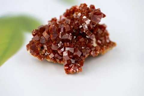 Vanadinite crystals evenly coating baryte blades from Mibladen, Morocco Stock Photos