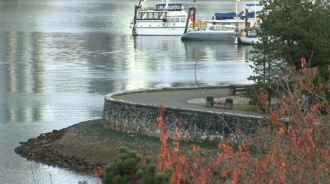 Vancouver-01 Stock-Footage 295987