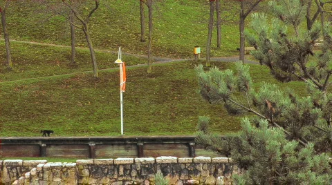 Vancouver-06 Stock Footage 295559