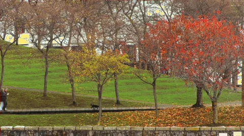 Vancouver-07 Stock Footage 295546