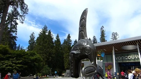 Vancouver Aquarium Stock Footage 90053520
