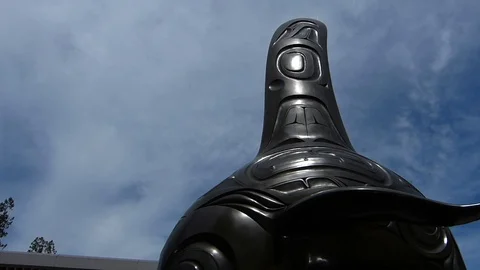 Vancouver Aquarium Stock Footage 90053582