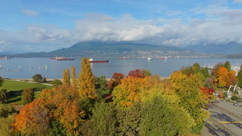 Vancouver, Canada, Beach, Ocean, Threes Stock Footage 320608434