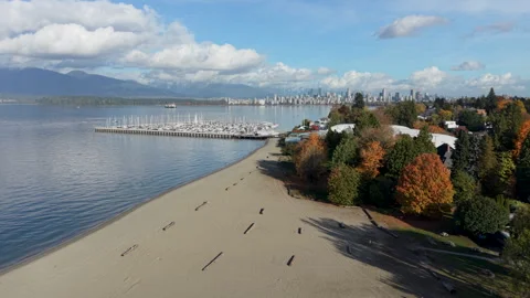 Vancouver, Canada, Beach, Ocean, Threes Stock Footage 320608849