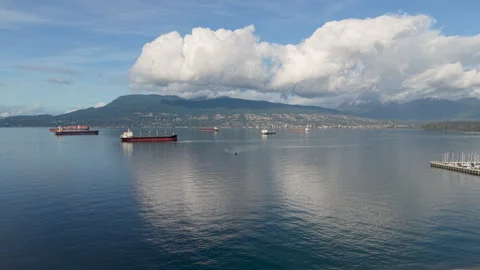 Vancouver, Canada, Beach, Ocean, Threes Stock Footage 320608863