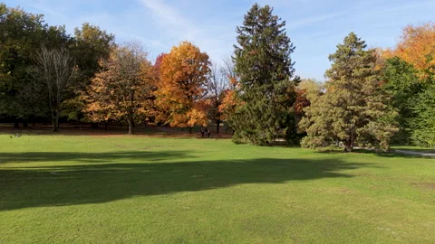 Vancouver, Canada, Fall, Autumn Stock Footage 320526292