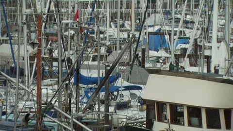 Vancouver, Canada Stock Footage 123932878