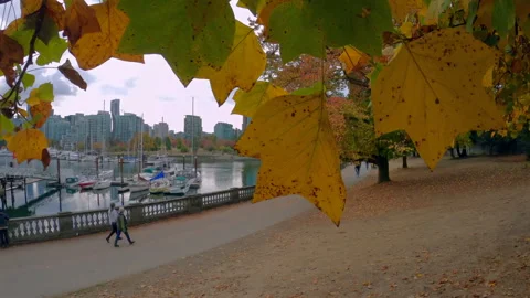 Vancouver Canada Oct 23 2022 Stanley Park Seawall Walking Cycling 4K UHD Stock Footage 340572032