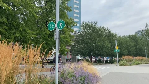 Vancouver Cyclist biking on path trial signage Stock Footage 281703968