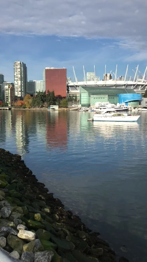 Vancouver False Creek Video stock 146430998