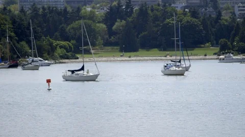 Vancouver Stock Footage 81132504