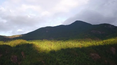 Vancouver forest and ocean sunset aerials - drone footage Stock Footage 81990896