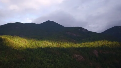 Vancouver forest and ocean sunset aerials - drone footage Stock Footage 81991045