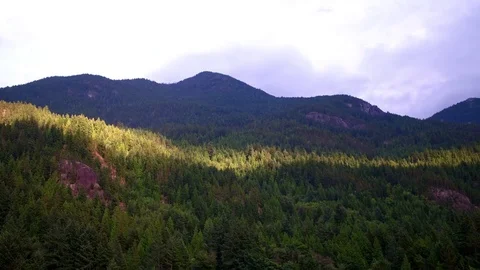 Vancouver forest and ocean sunset aerials - drone footage Stock Footage 82075892