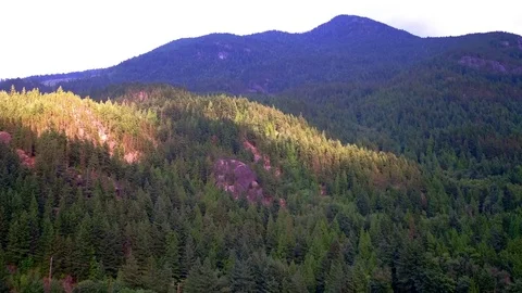 Vancouver forest and ocean sunset aerials - drone footage Stock Footage 82108497
