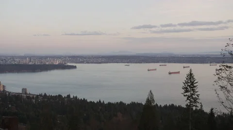 Vancouver Harbor Freighters Treee Stumps - 4k Stock Footage 51660060