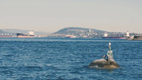 Vancouver Harbour, Canada Stock Footage 88281131