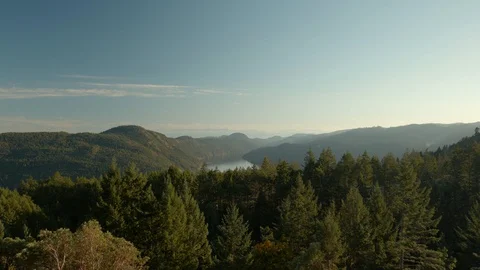 Vancouver Island Video stock 128096597