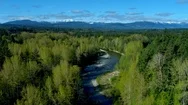 Vancouver Island Forest By Aerial Drone Stock Footage