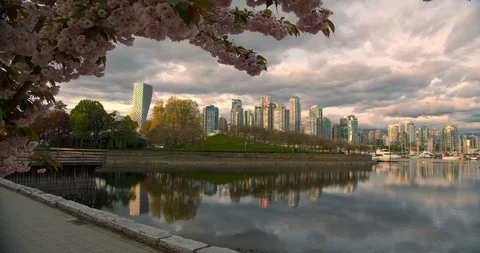 Vancouver Skyline at Dusk from Path Video stock 129859687