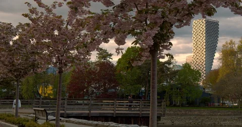 Vancouver Skyline at Dusk from Path Video stock 129860393