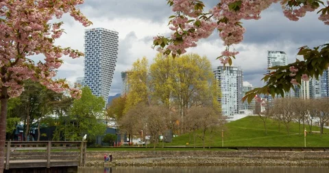 Vancouver Skyline from Path Video stock 129858328
