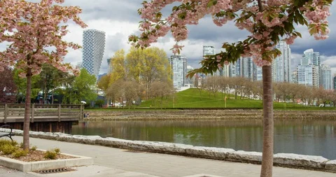 Vancouver Skyline from Path Video stock 129858370