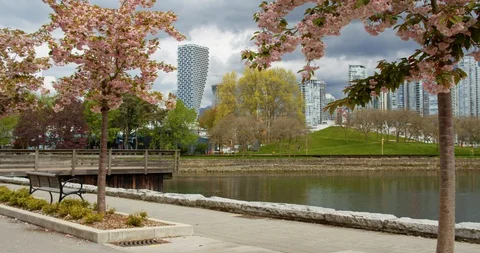 Vancouver Skyline from Path Video stock 129858395