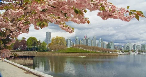 Vancouver Skyline from Path Stock Footage 129858475