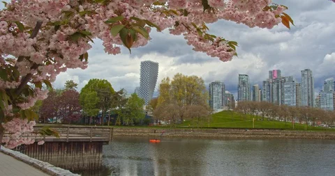 Vancouver Skyline from Path Video stock 129858715