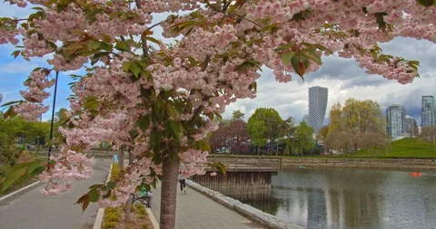 Vancouver Skyline from Path Video stock 129858921