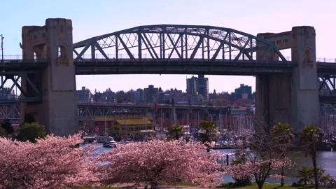 Vancouver Spring - Burrard Bridge - Cherry Trees 動画素材 152254477