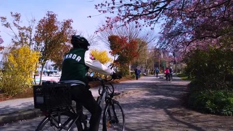 Vancouver Spring - Coal Harbor - Stanley Park - Sidewalk People Stock Footage 152492276