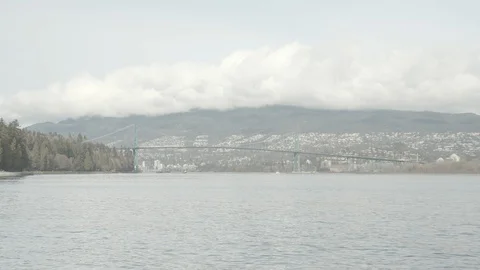 Vancouver Stanley Park Stock Footage 125911459