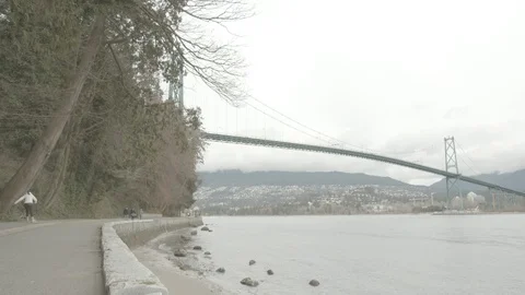 Vancouver Stanley Park Stock Footage 125918892