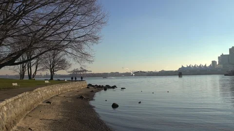 Vancouver Stanley Park view Stock Footage 121926690