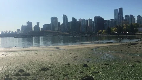 Vancouver with tide out Stock Footage 80046556