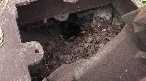 Vandals destroyed the destroyed old tomb in the cemetery Stock Footage 59950481