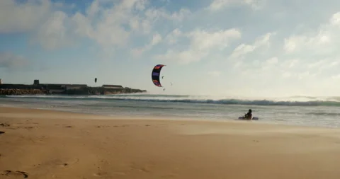 Vandog 库存影片 90565230