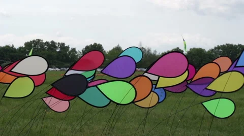 Vane colored children - show of the kite Stock Footage 50025887