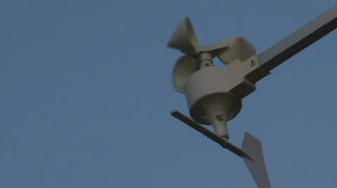 VaneBirds Video stock 326580