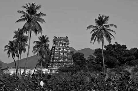 Vaneeswarar temple Stock Photos