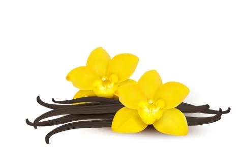 Vanilla background. Vector. Stock Illustration