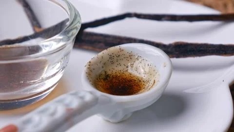 Vanilla Bean Paste with vanilla pods Stock Footage 304362623