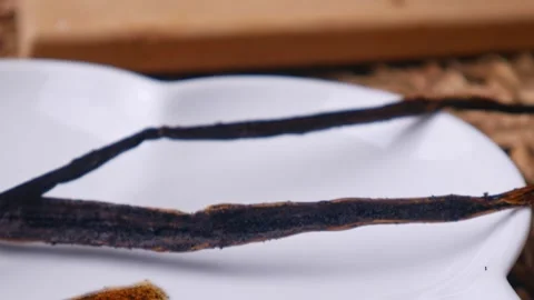Vanilla Bean Paste with vanilla pods Stock Footage 304362639
