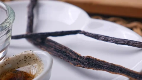 Vanilla Bean Paste with vanilla pods Stock Footage 304784885
