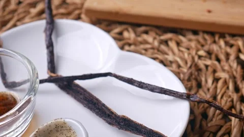 Vanilla Bean Paste with vanilla pods Stock Footage 304784889