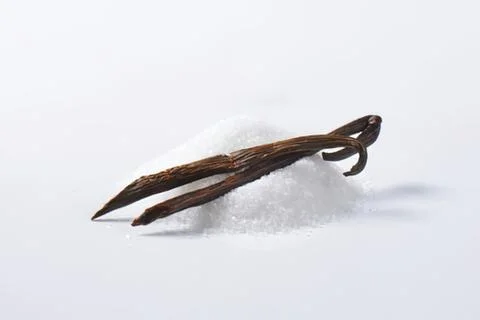 Vanilla bean pods on light background Stock Photos