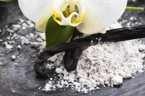 Vanilla beans with aromatic sugar and flower Stock Photos